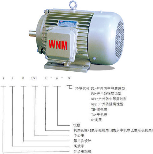 電機(jī)的特點類型代号大全